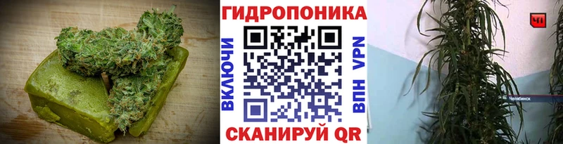 продажа наркотиков Петров Вал Еда ТГК конопля