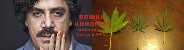 mdpv Заводоуковск