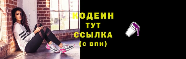 шишки Новодвинск