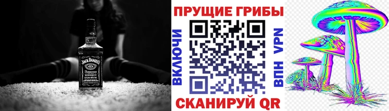 где купить наркоту  Петров Вал  Псилоцибиновые грибы мухоморы 